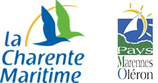 Logos Charente-Maritime et Marennes Oléron - Big'air Parachutisme